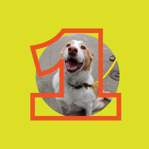 124GrandMarket's tweet photo. π£β¨ONE MORE DAY BEFORE 124 GRAND MARKET RETURNS π£β¨
One more sleep before the return of #DogsOf124! Water will be accessible for thirsty pups at the market, plus some pup-treats. Make sure to visit us at the 124 Market tent so we can greet our distinguished guests properly! πΆ https://t.co/RgGLz7iTDl