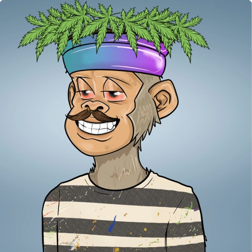 layer2chains's tweet photo. We stay high! #puffpuff💨💨🤌 #puffinla #WAV @StonedApeCrew https://t.co/UbPuAABUPd