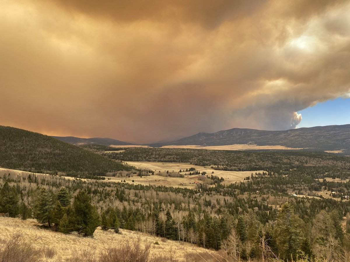 Pray for the evacuees, which soon could include the Mitchell family. Pray for the fire fighters and please God let it rain.