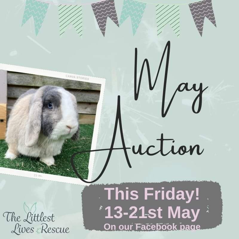 LittlestLives's tweet photo. We are excited to announce we will be holding another auction this Friday over on our Facebook page!

The auction will go live on Friday evening and will run until midnight on Saturday the 21st.

All money raised will go towards the rescue to help pay for our vet bills. https://t.co/OfOaSUv8QM