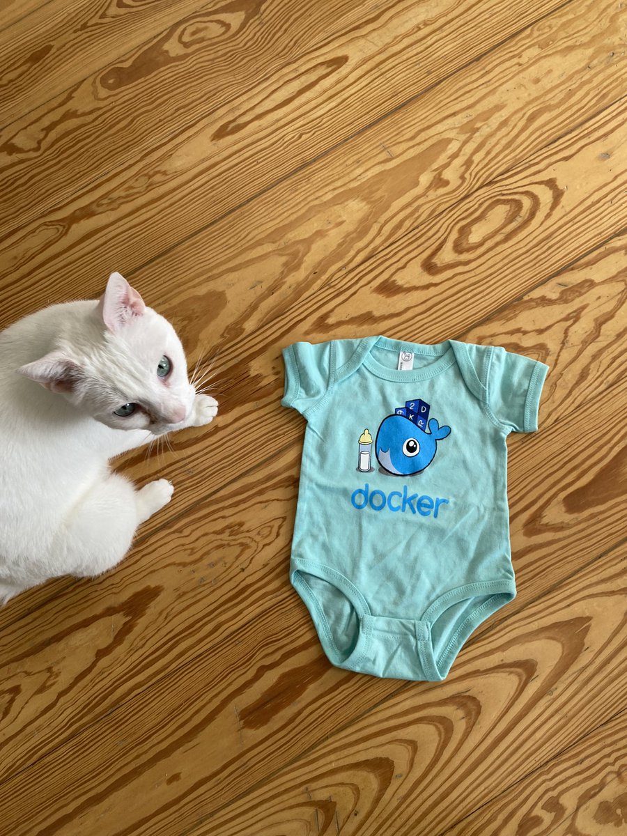 Sandra Ahlgrimm tweet media