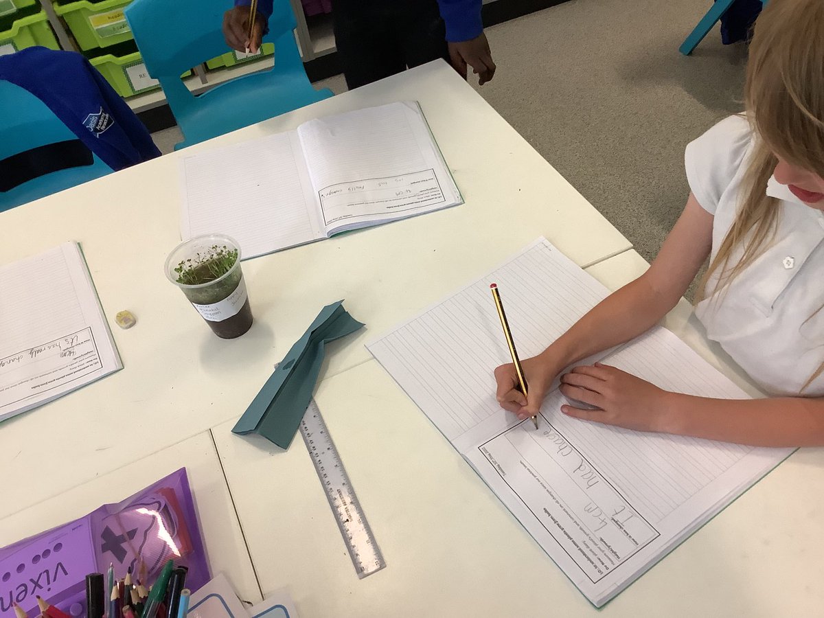 OABroadoak's tweet photo. 2 BW have been working hard this afternoon in their Science lesson. Monitoring any changes that happen #someplantsgrowfromseeds #todaywelookedatplantsthatgrowfrombulbs #activescience #y2 #2BW #ourweeklystarworkeriszobia https://t.co/c6IbsuTYig