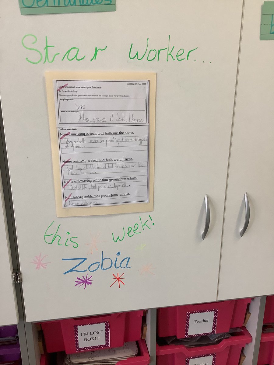 OABroadoak's tweet photo. 2 BW have been working hard this afternoon in their Science lesson. Monitoring any changes that happen #someplantsgrowfromseeds #todaywelookedatplantsthatgrowfrombulbs #activescience #y2 #2BW #ourweeklystarworkeriszobia https://t.co/c6IbsuTYig