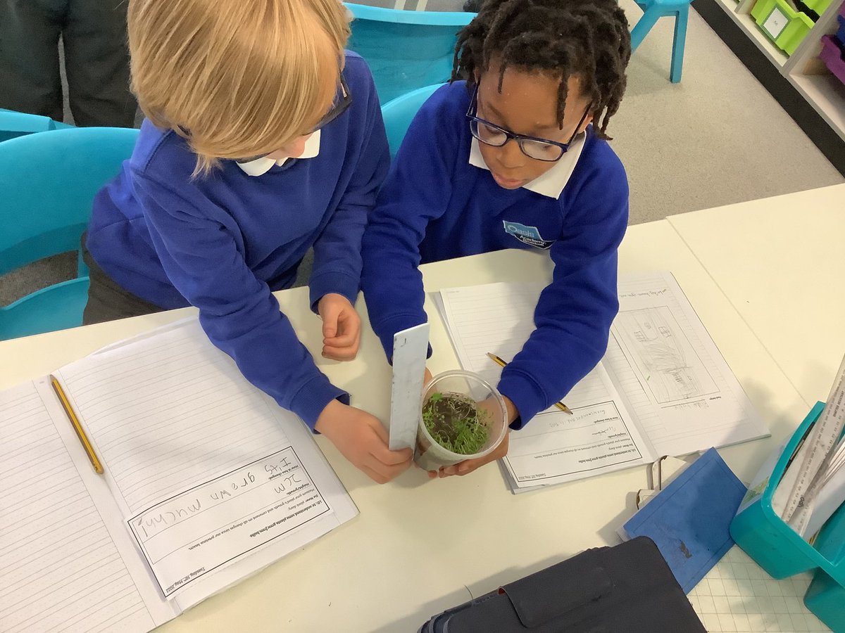 OABroadoak's tweet photo. 2 BW have been working hard this afternoon in their Science lesson. Monitoring any changes that happen #someplantsgrowfromseeds #todaywelookedatplantsthatgrowfrombulbs #activescience #y2 #2BW #ourweeklystarworkeriszobia https://t.co/c6IbsuTYig