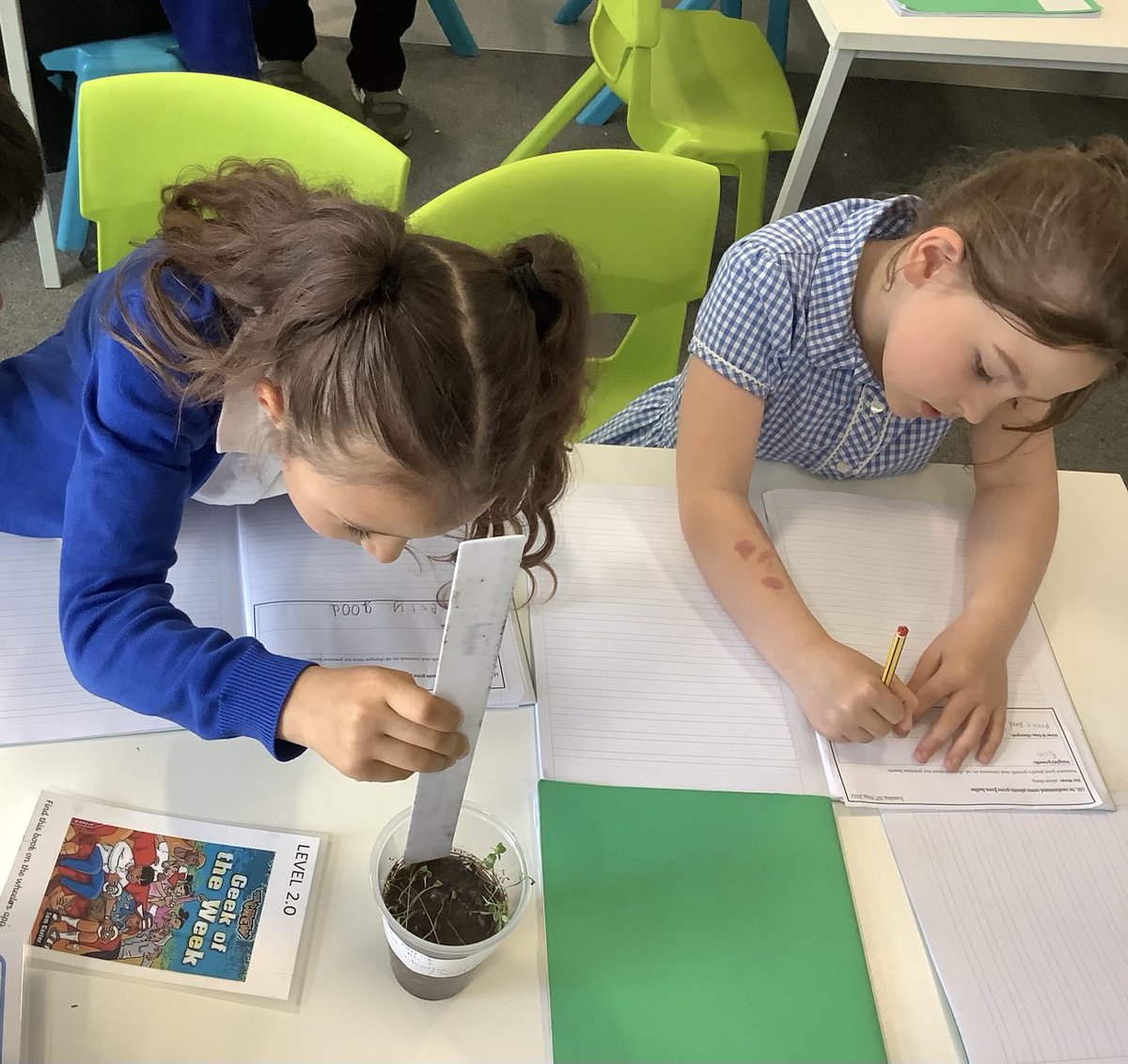 OABroadoak's tweet photo. 2 BW have been working hard this afternoon in their Science lesson. Monitoring any changes that happen #someplantsgrowfromseeds #todaywelookedatplantsthatgrowfrombulbs #activescience #y2 #2BW #ourweeklystarworkeriszobia https://t.co/c6IbsuTYig