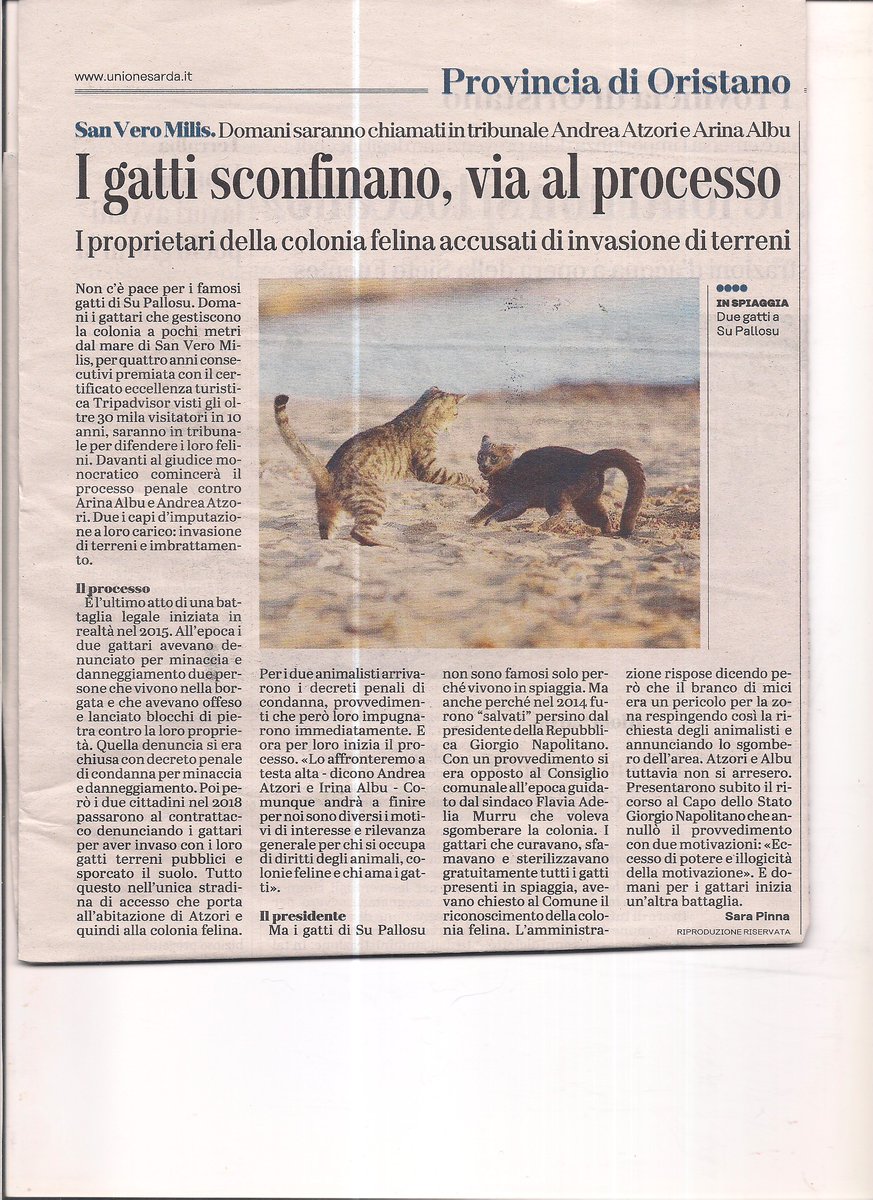 amicisupallosu's tweet photo. L'Unione Sarda di oggi 
#benessereanimale #Irinaalbu #AndreaAtzori #gatti #cats
#SanVeroMilis  #SuPallosu
#TribunaleOristano #processopenale #pubblicaamministrazione
#animali #randagismo #volontariato #associazioni #cuccegatti #ciotolaacqua #comune #pubblicaamministrazione https://t.co/WgPbur9IKF