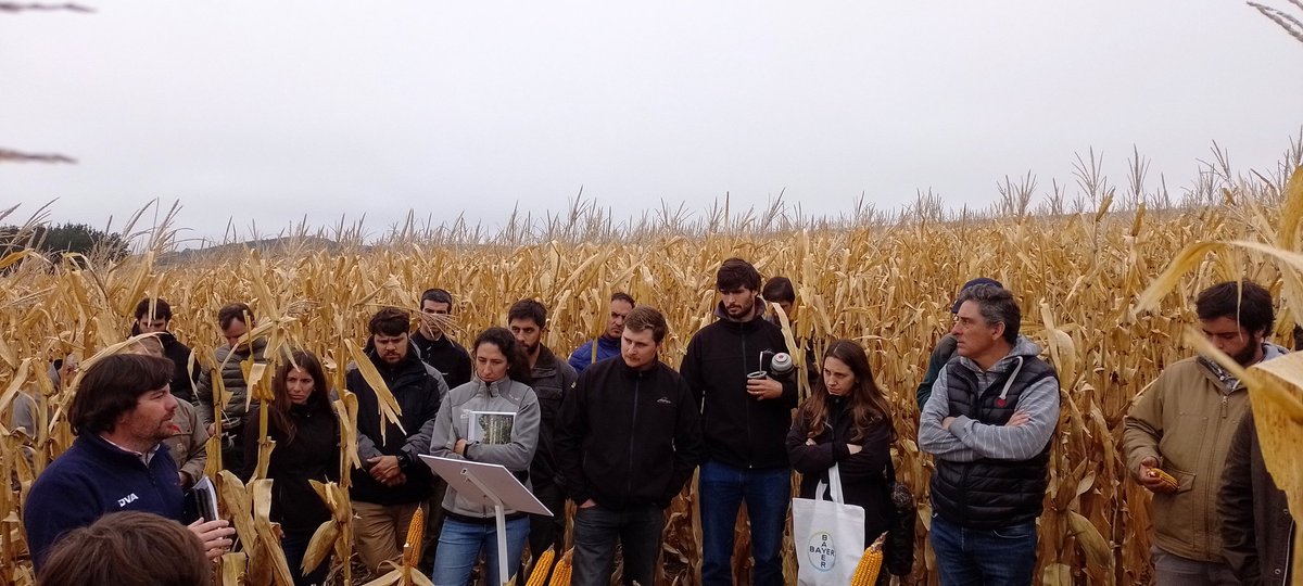 sbustillo1981's tweet photo. Después de dos años de pandemia volvimos en Dos Caciques a la Jornada de Asesores Referentes. Excelente intercambio!
Gracias a todos!
 @Bayer4CropsAR @FieldViewArg @DekalbArgentina @llulisalg @marianrobl_ @martin_deyaniz @JoseB_Cba https://t.co/oFTsbulbqQ