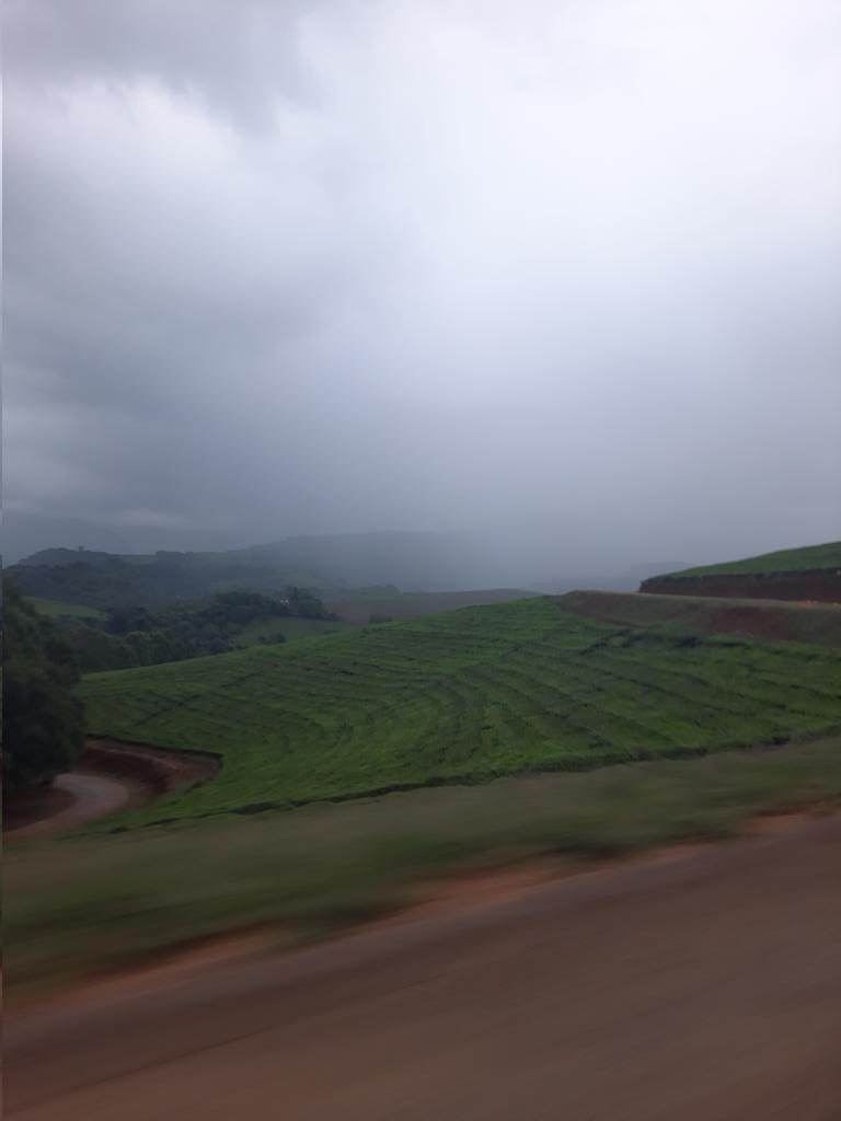 ViewsinZim's tweet photo. #VisitZimbabwe 
📍NYANGA/EASTERN HIGHLANDS 🇿🇼
[@Emoo__dj 📸] https://t.co/LCBbU2GWFk