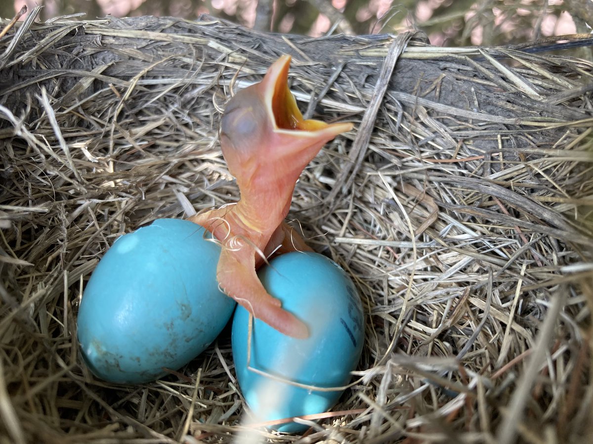 SK Winnicki, PhD tweet media