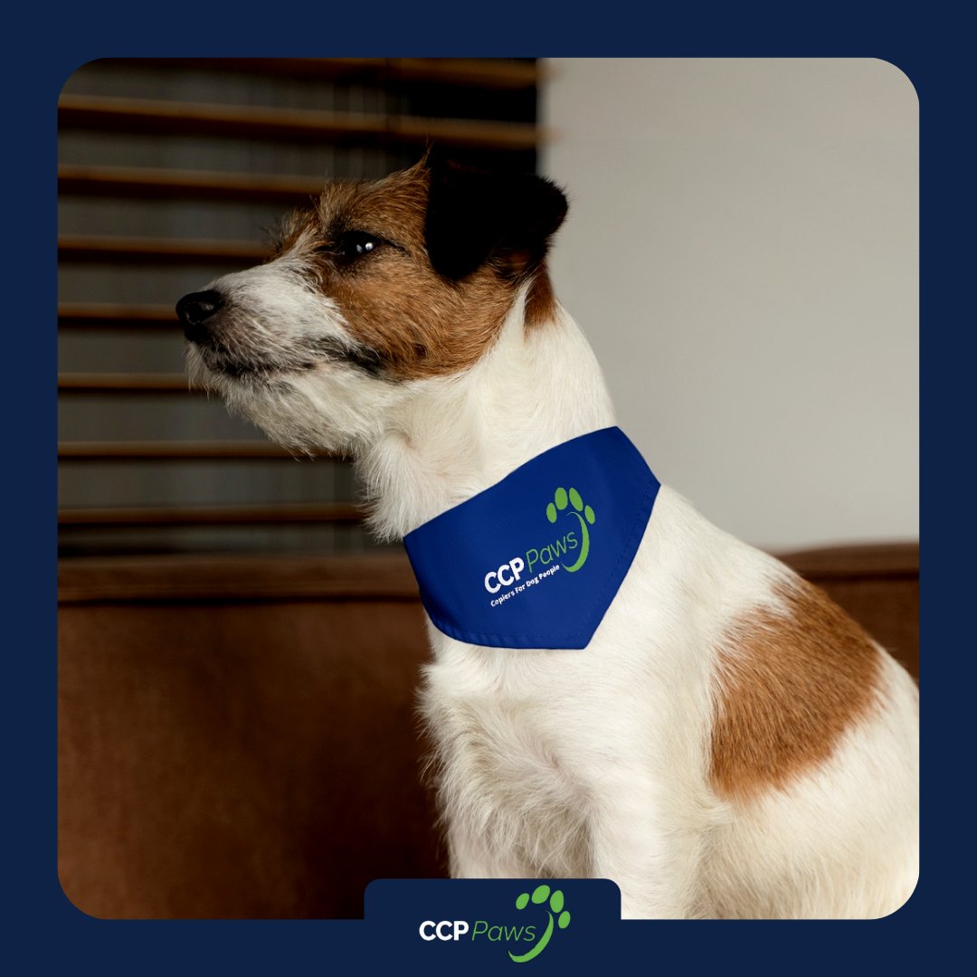 CCPSolutions's tweet image. We are proud to say we are the Copier for Dog People Company. Our goal is to turn our CCP Paws initiative into the biggest dog adoption and  shelter donation initiative in Long Island. If you want to help give us a call at 631-414-7945