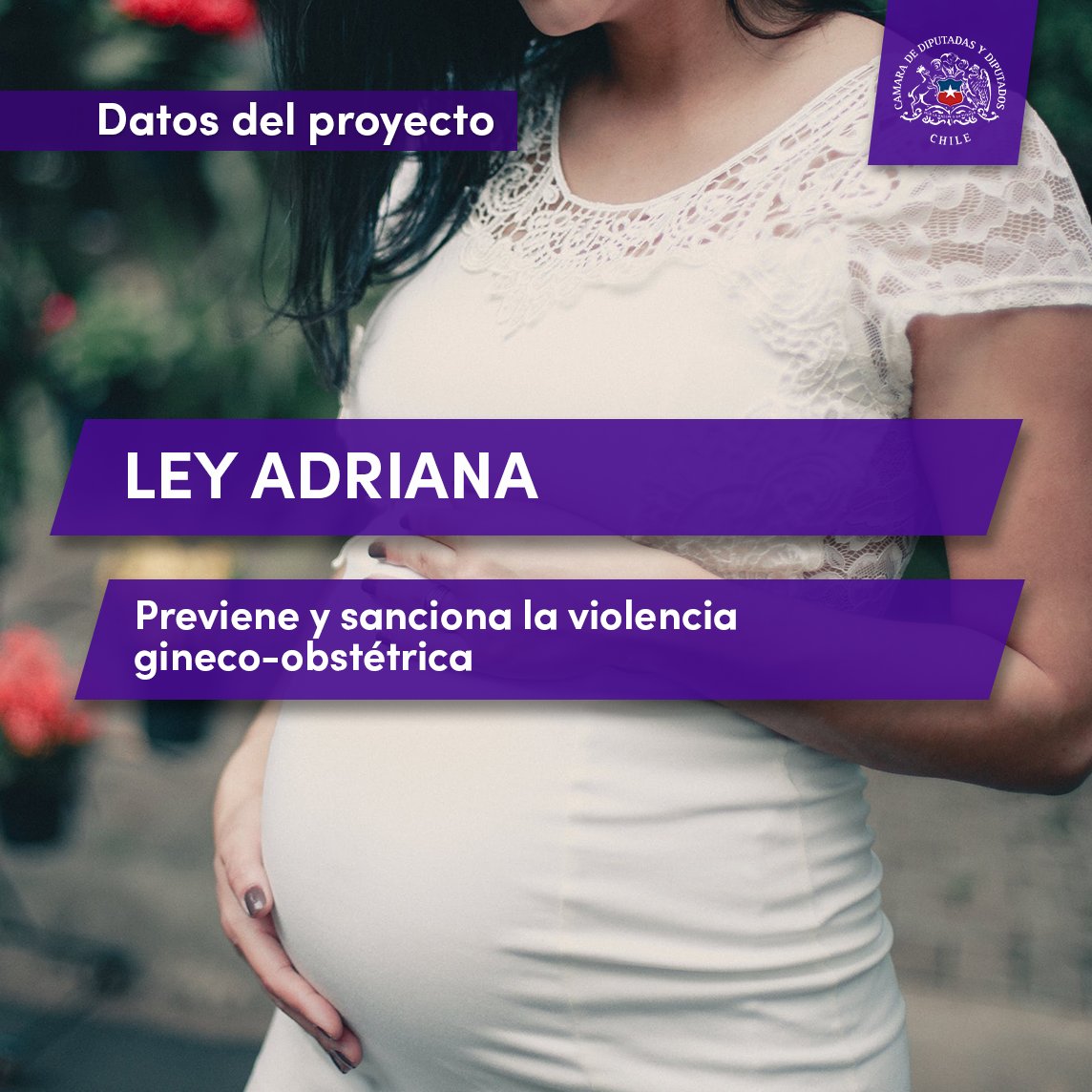 Camara_cl's tweet photo. 🤓#DatosdelProyecto 

📌Hoy la Cámara aprobó y despachó al @Senado_Chile  el proyecto que previene y sanciona la violencia gineco-obstétrica. #LeyAdriana 🤰

👇Aquí te explicamos de qué se trata 😉

🔎Todo el detalle de la información está en https://t.co/bcfTQRJKQA https://t.co/lBx6u2UBm9