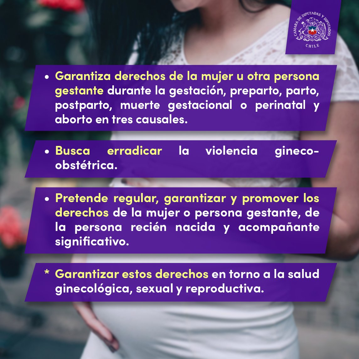 Camara_cl's tweet photo. 🤓#DatosdelProyecto 

📌Hoy la Cámara aprobó y despachó al @Senado_Chile  el proyecto que previene y sanciona la violencia gineco-obstétrica. #LeyAdriana 🤰

👇Aquí te explicamos de qué se trata 😉

🔎Todo el detalle de la información está en https://t.co/bcfTQRJKQA https://t.co/lBx6u2UBm9