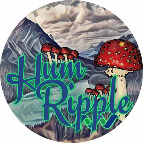 This week on the show I chat with, guitarist for Atlanta based jam/rock band <a href="/humripple/">Hum Ripple</a> , Rob Stark ! 
We talk about his band, their 2020 3.P released in 2019, the Atlanta music scene, how <a href="/umphreysmcgee/">Umphrey's McGee</a> inspires him, and more! 
Listen here: tinyurl.com/59w8djxc
<a href="/DatcMedia/">DATCMediaCompany</a>