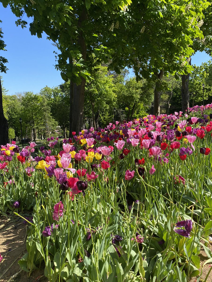Bir çiçek duruyordu, orda, bir yerde, Bir yanlışı düzeltircesine açmış.🌸

Cemal Süreyya