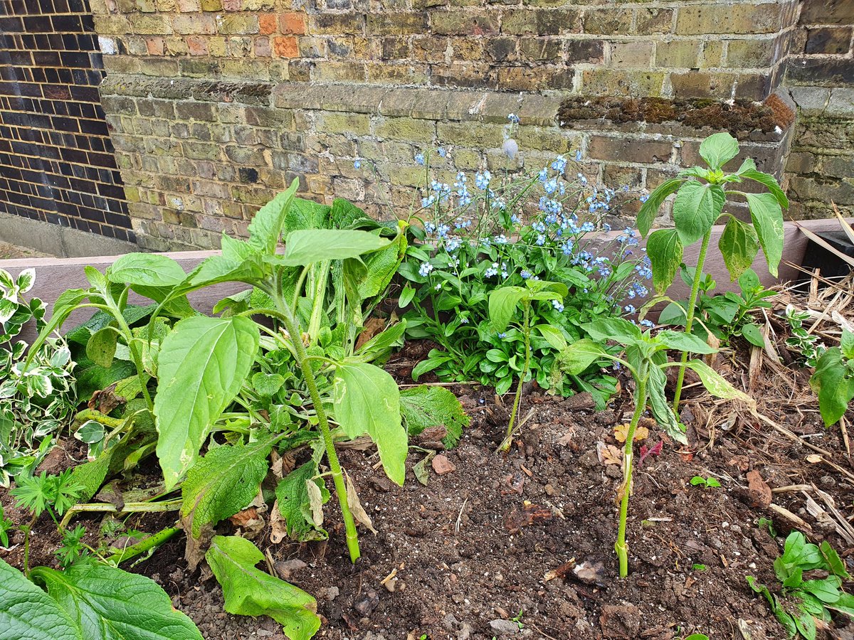 Discover Welling tweet media