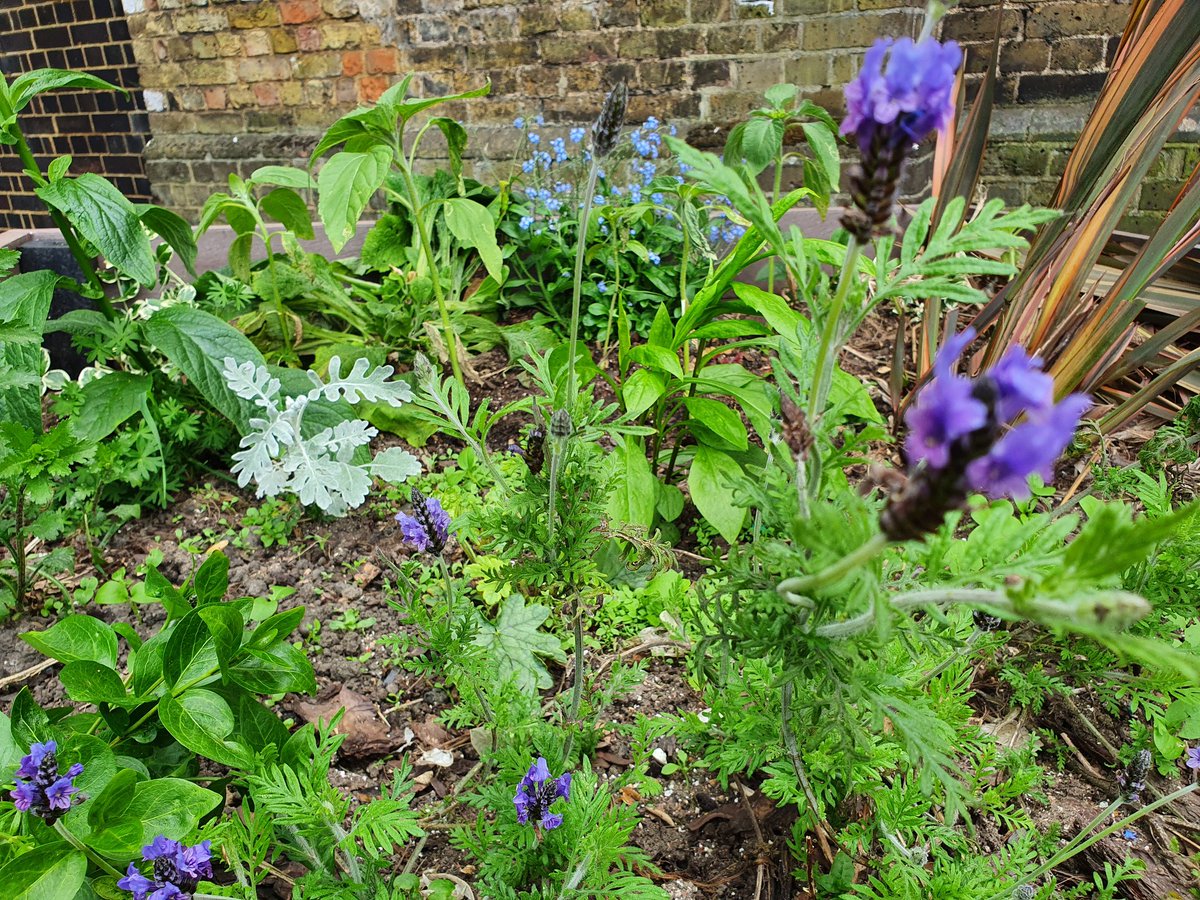 Discover Welling tweet media