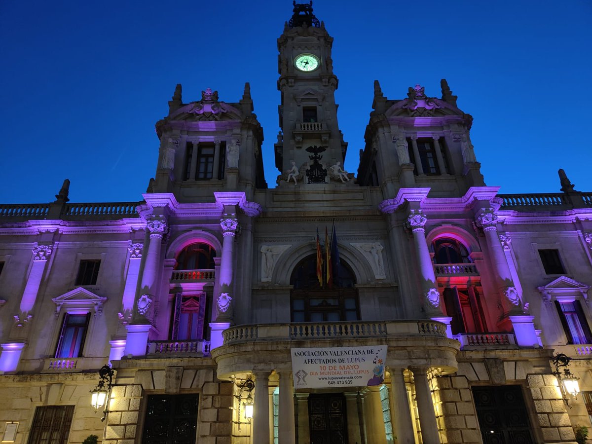 AvalusL's tweet photo. El ayuntamiento de Valencia se ilumina de morado en #DiaMundialDelLupus 
#DemosVisibilidadAlLupus 
@Felupus https://t.co/8bvzAmuYUe