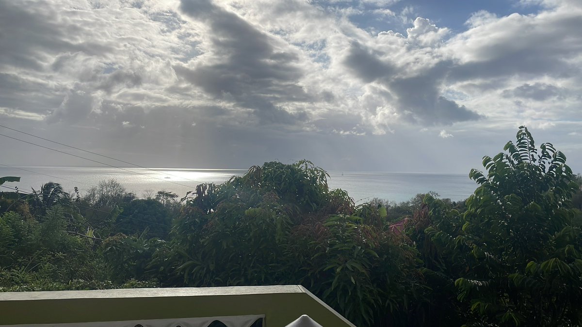Tompkins_HC's tweet photo. Excited to be back in Saint Lucia to begin Phase 1 of my dissertation! Also my first time out in the field! #dengue https://t.co/TUqIQEQDrJ