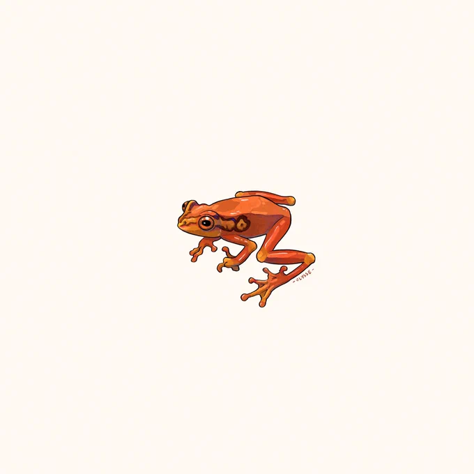 Small frog study! 🐸 