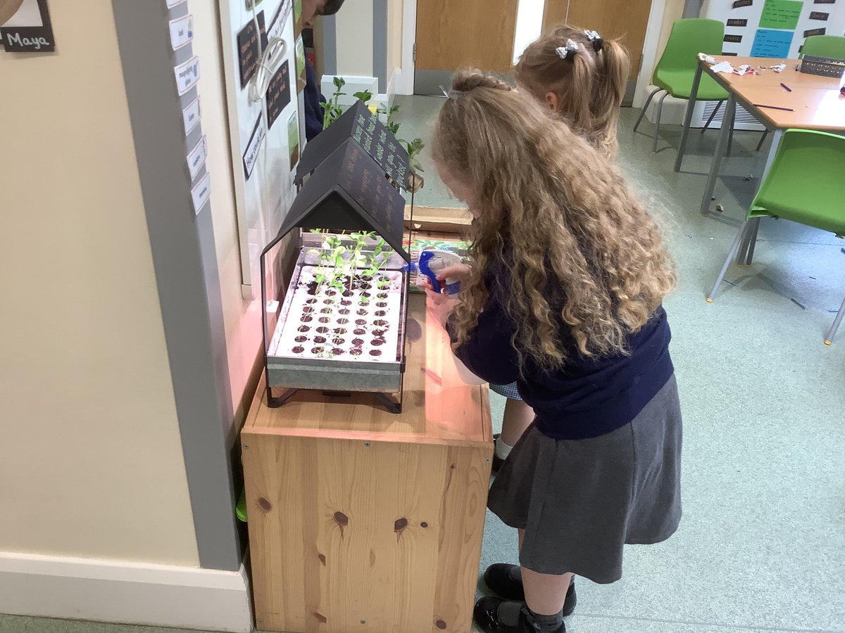 wcp_schoolEYFS's tweet photo. Doing a fabulous job of looking after our seedlings. #understandingtheworld #plantsandgrowth #activelearning 🌱🌱🌱 https://t.co/v6XIAKB1eP