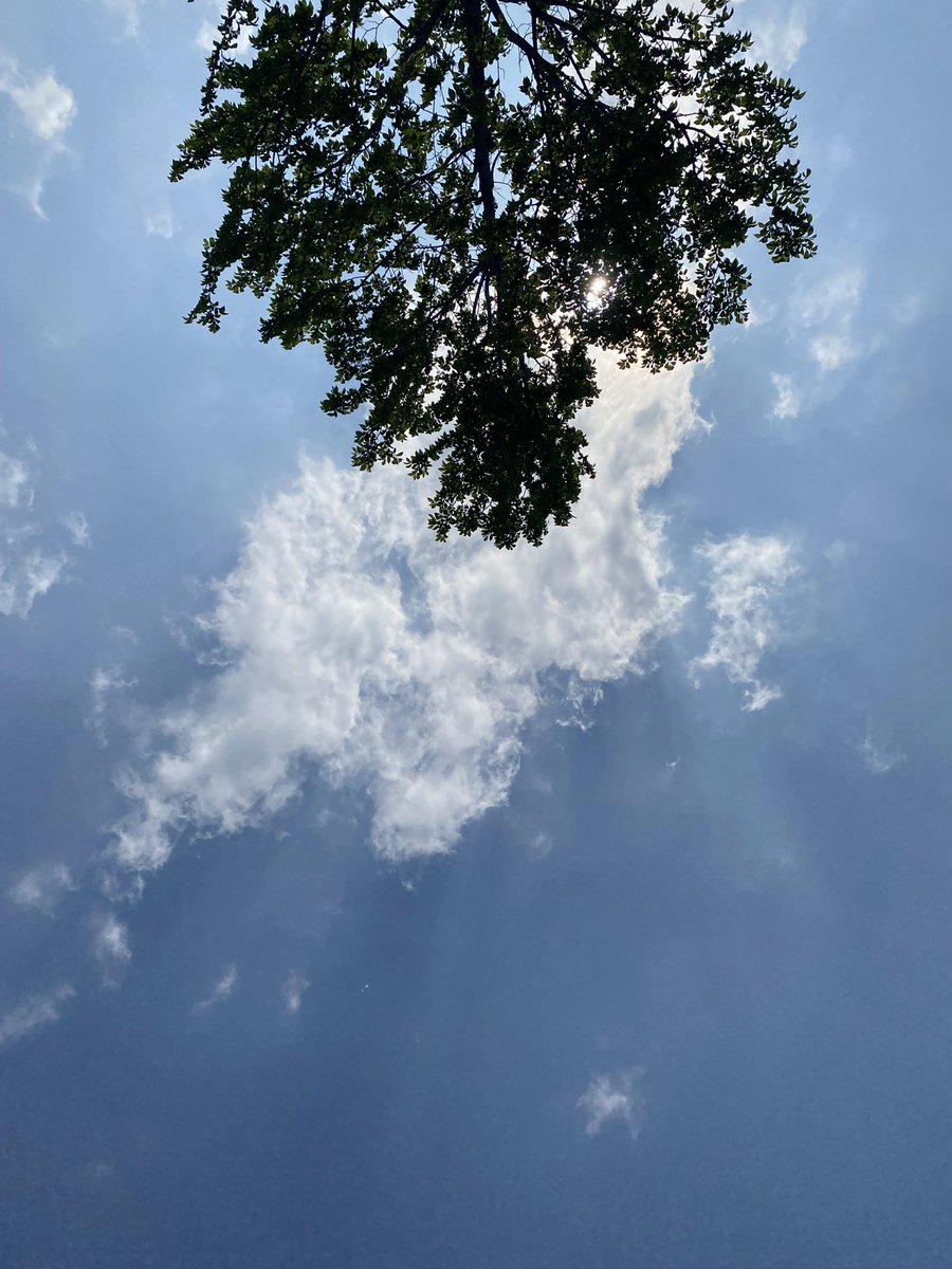 yallrlytriedit's tweet photo. out tf side #chisummer https://t.co/cmHfeb3FG0