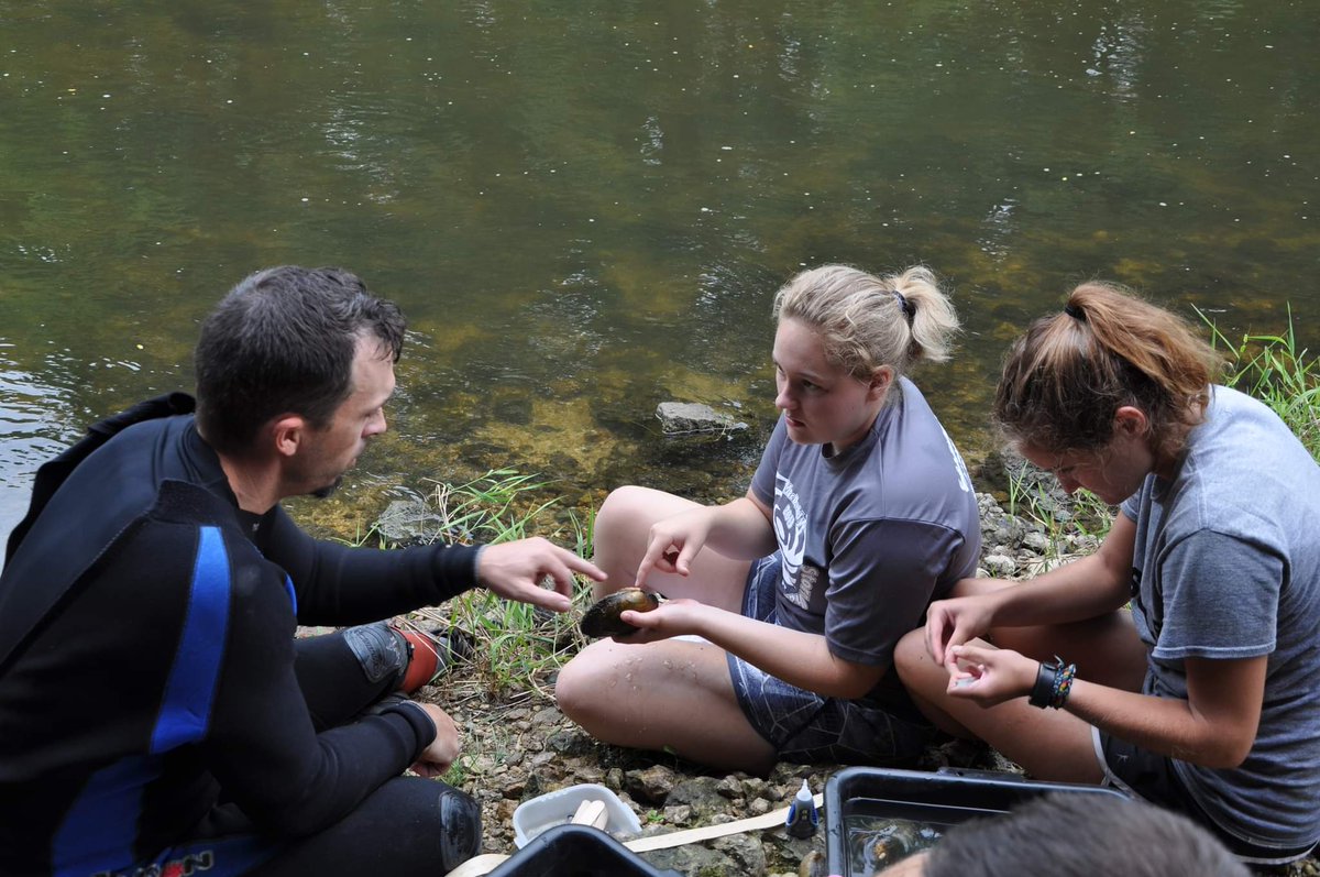 INHSPACELab's tweet photo. Jeremy Tiemann is an aquatic ecologist working with endangered and invasive non-game fishes and freshwater mollusks. His work has focused on Iowa Darter ecology and freshwater mussel translocations.

https://t.co/1Nt1jZpR71

#INHSPaCELab #INHS #conservation https://t.co/8lOuyGipVB