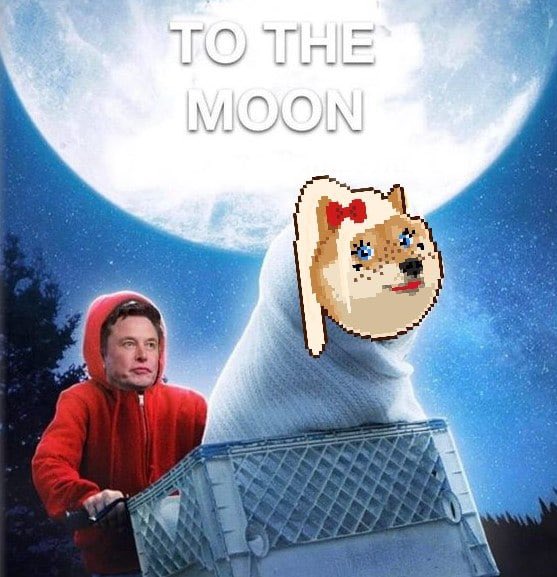 Mattelios1's tweet photo. @coinpaw @Dogellacoin #Dogellacoin #Dogella #Doge $DGLA $Doge $floki $shi $robby
https://t.co/PW6zH33XS9 https://t.co/xFfIIrJ2It