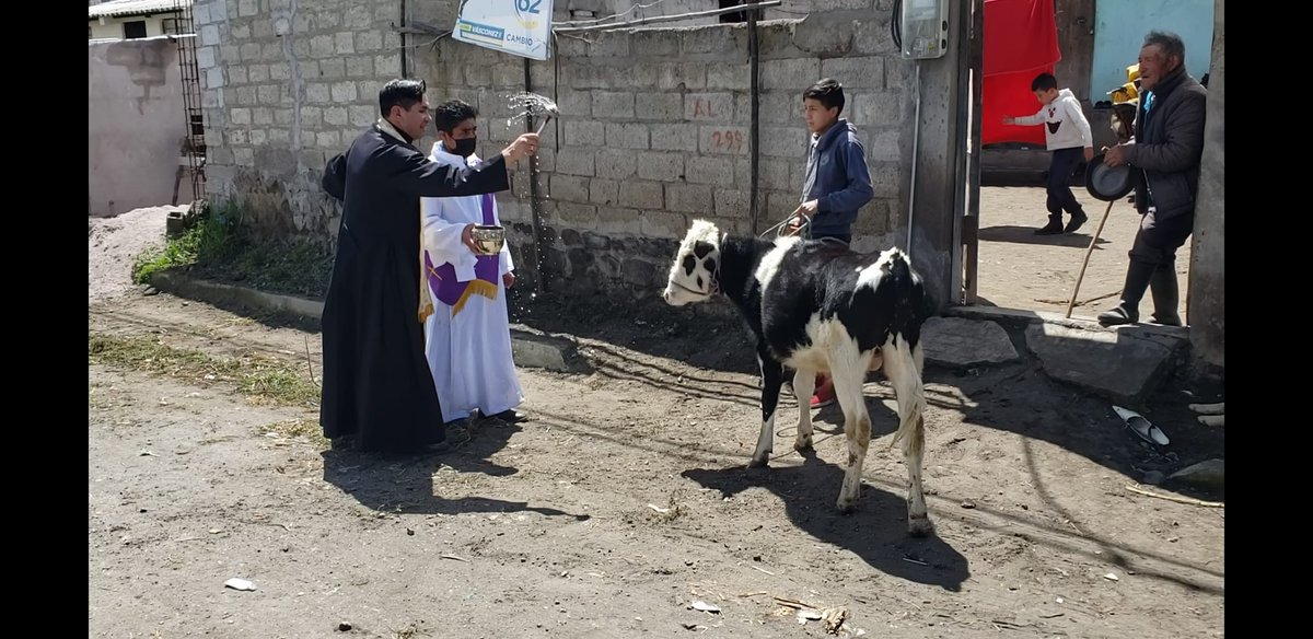 gadguano's tweet photo. La presente semana se convierte en la central de las #FiestasPatronales de San Isidro de Patulú que inició el 29 de abril y culminará el 29 de mayo en coordinación con el Comité de Fiestas y la voluntad y fe de los devotos.
#ExpoTuning #SanIsidrodePatulú #Guano #Chimborazo https://t.co/nXm9xpmKJs