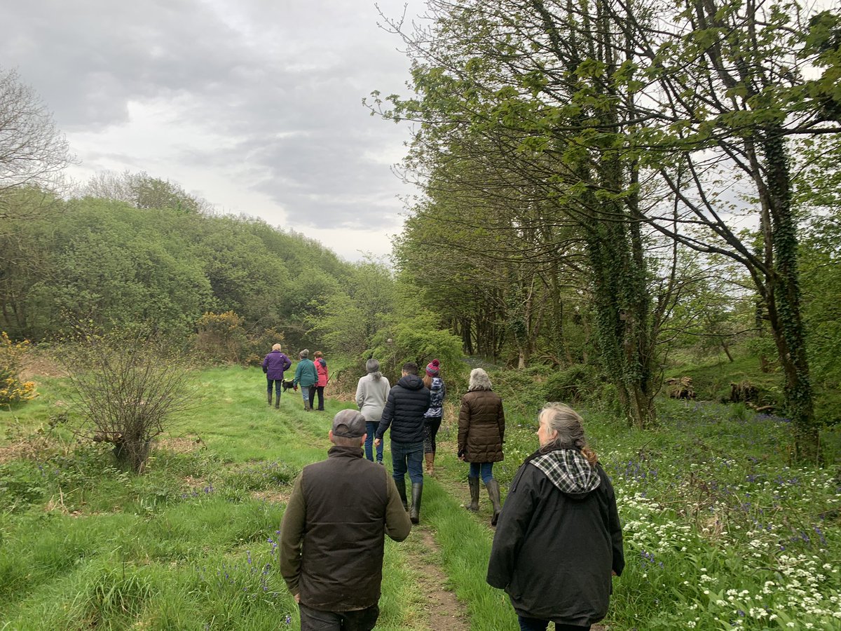 ManxNatureMan's tweet photo. Great evening at Ballakissack, Santon on the #IsleofMan🇮🇲@FWAGAssoc walk tonight. Never seen so many #wildflowers on a dairy farm: #Pignut, #Meadowsweet, #Cowslip, #MarshMarigold and #Orchids almost ready to burst into flower under a sky full of #Swallows. #NatureFriendlyFarming https://t.co/mNiekzkVgp