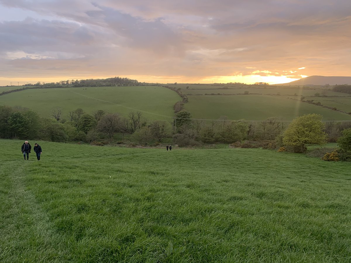 ManxNatureMan's tweet photo. Great evening at Ballakissack, Santon on the #IsleofMan🇮🇲@FWAGAssoc walk tonight. Never seen so many #wildflowers on a dairy farm: #Pignut, #Meadowsweet, #Cowslip, #MarshMarigold and #Orchids almost ready to burst into flower under a sky full of #Swallows. #NatureFriendlyFarming https://t.co/mNiekzkVgp