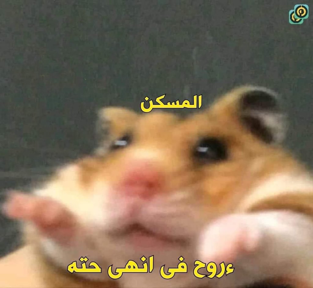 لما تاخد مسكن للالم..
