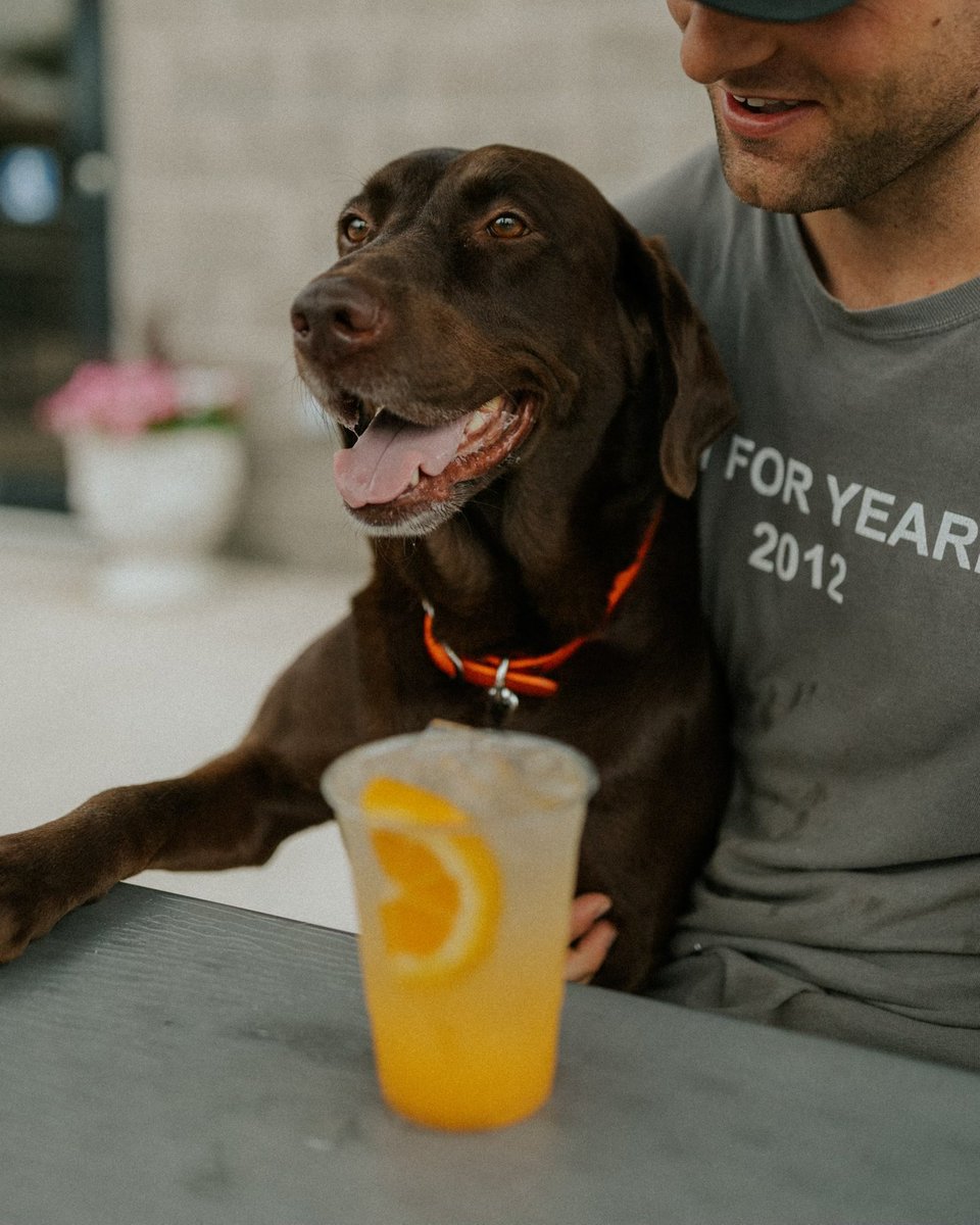 Bring the pups by our tasting room patio tonight for an Orange Crush and listen to the premier Rolling Stone cover band, “Mother’s Little Helpers,” take the main stage <a href="/MainLineRva/">Main Line Brewery</a>