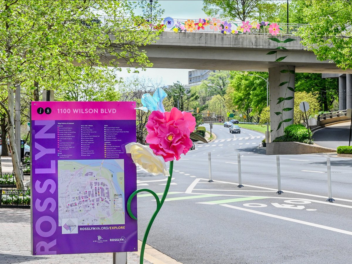 RosslynVA's tweet photo. π Have you noticed our Big Blooms around the neighborhood? Share a picture of them with hashtag #RosslynRefresh for a chance at a $50 restaurant gift card! There will be a new winner every week through May 22: https://t.co/8kGYzx3dhb https://t.co/YkGVvJZ2AP