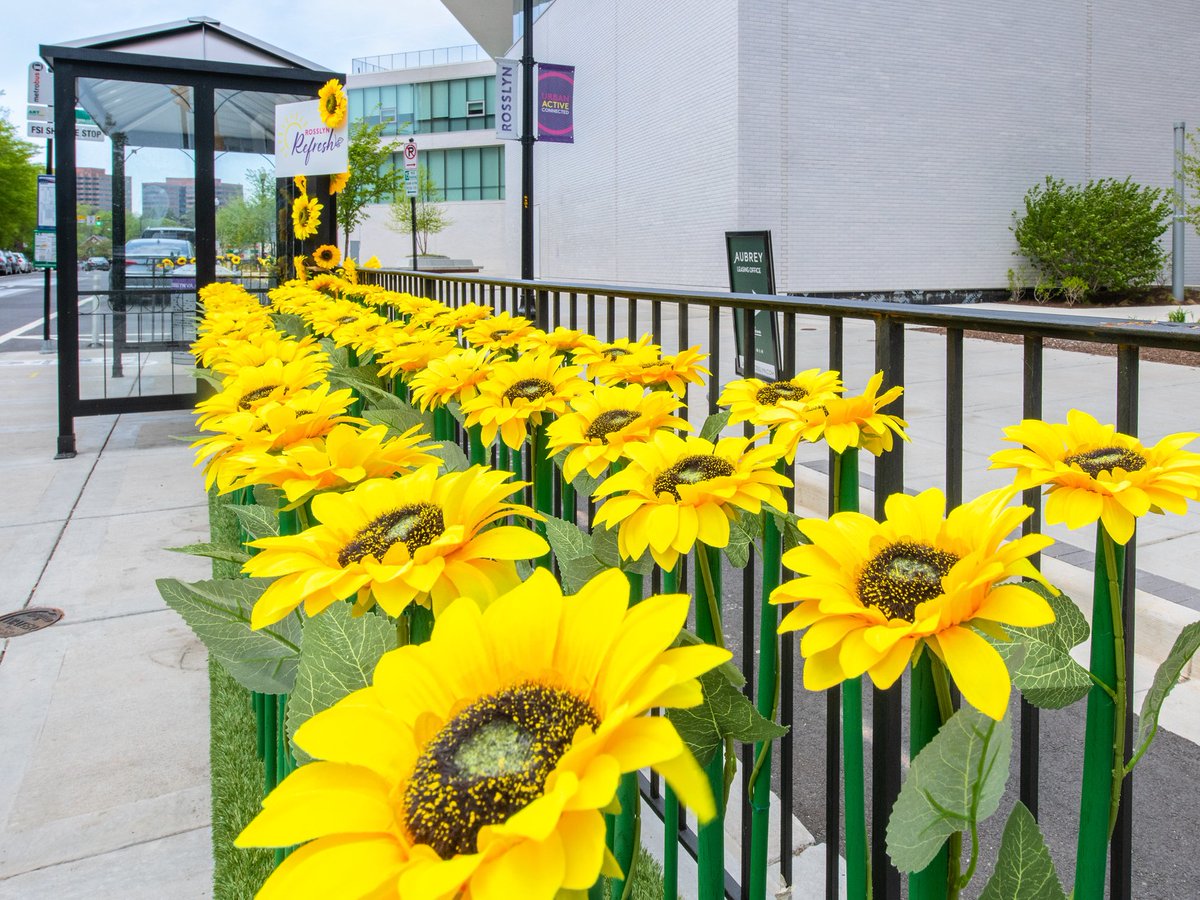 RosslynVA's tweet photo. π Have you noticed our Big Blooms around the neighborhood? Share a picture of them with hashtag #RosslynRefresh for a chance at a $50 restaurant gift card! There will be a new winner every week through May 22: https://t.co/8kGYzx3dhb https://t.co/YkGVvJZ2AP