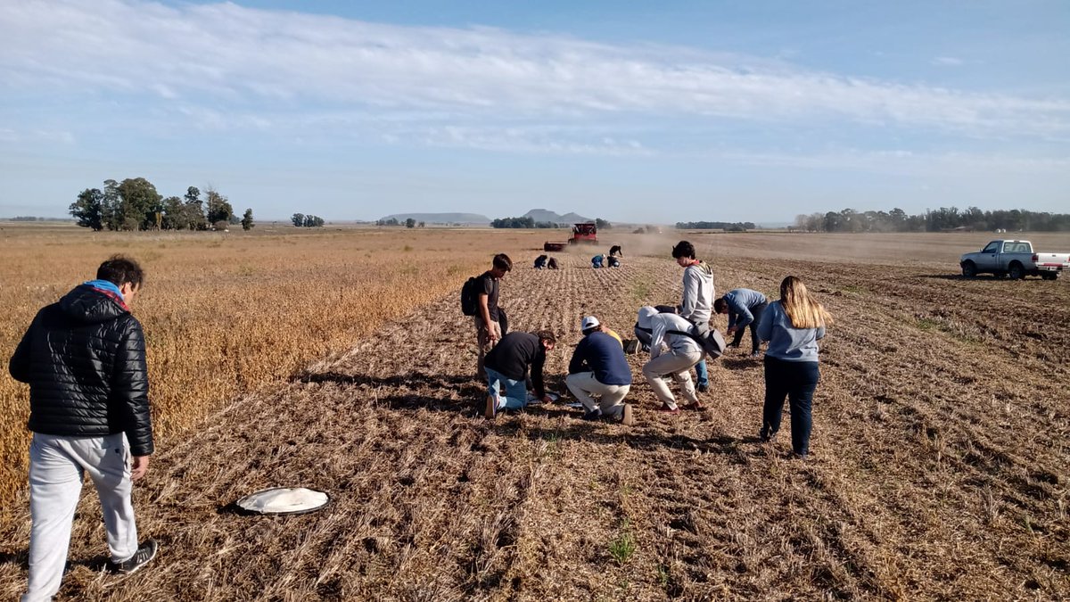 Mecanización Agrícola FCA Balcarce-UNMdP tweet media