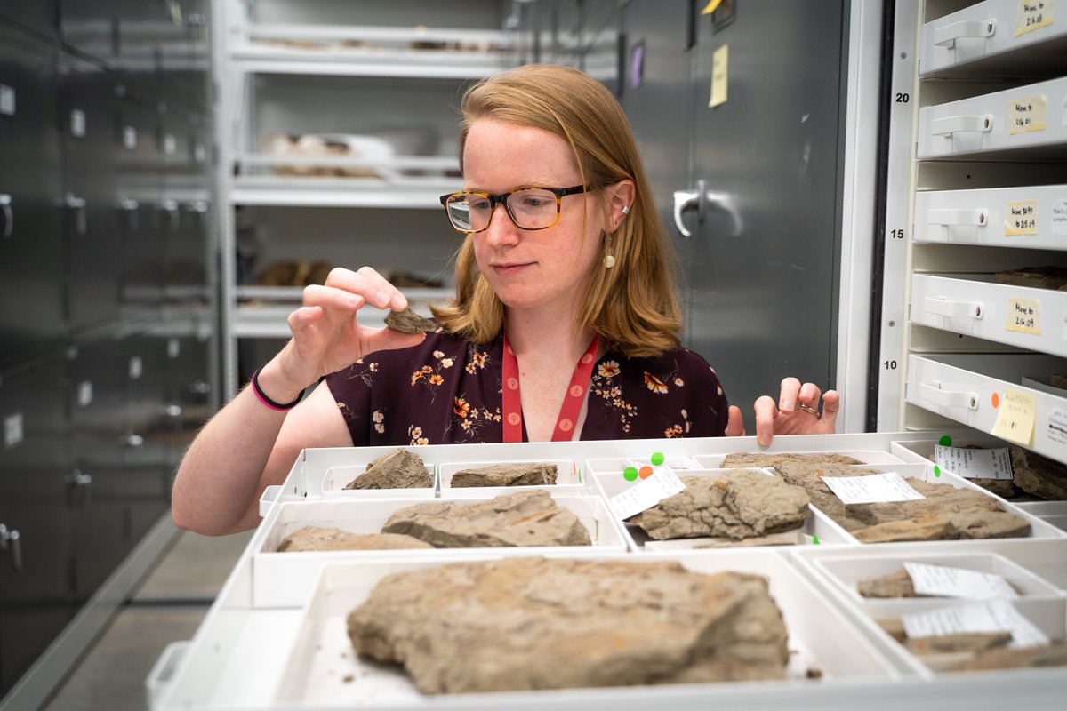 burkemuseum's tweet photo. Hello 👋 I'm Paige Wilson Deibel (she/her) and I am the new Paleobotany Collections and Lab Manager at the Burke Museum!

I've been a Burkeling for a long time as Ph.D student and am so excited to continue my journey with the Burke. Follow along with me at @WaigePilson! https://t.co/yQUjoHVtKl