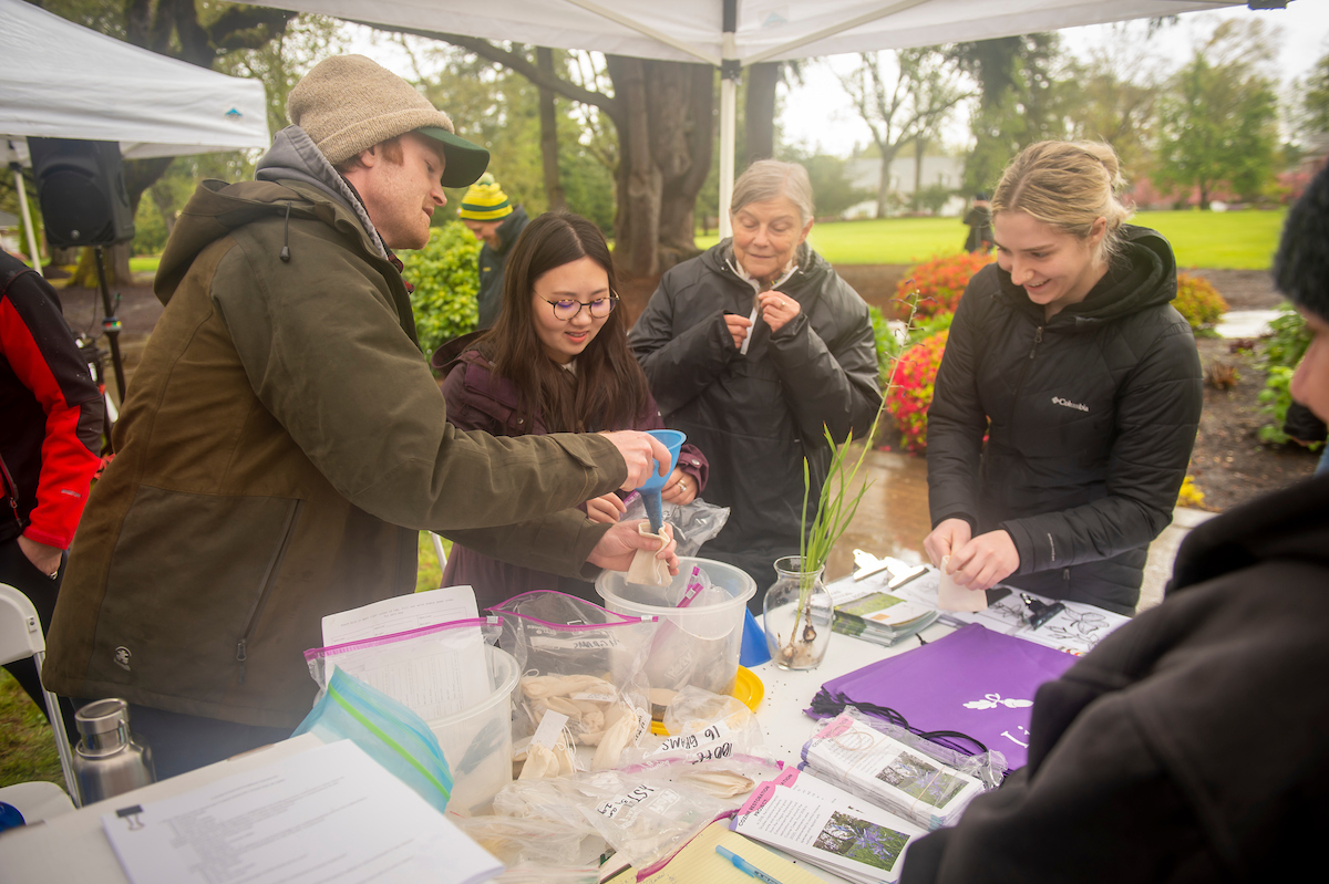 LinfieldUniv's tweet photo. The Camas Festival, celebrating the use of camas lilies in the traditional foodways of the Confederated Tribes of the Grand Ronde was held Friday. The public event included informational booths &amp; tours of the camas growth in the Cozine Creek area. @CTGRgov https://t.co/zmg87C1nHT https://t.co/ZUdI1PgZ6E