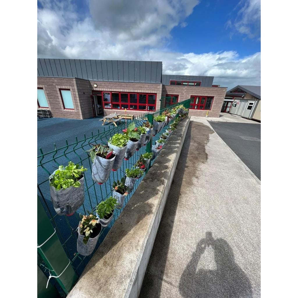 ScoilPol's tweet photo. The LCA6 class taking part in the planting of the flowers into the recycled milk carton #flowerwall outside the Hub today. Huge thanks to them, the Green Schools Committee and the TY students who all played their part in creating this wonderful project 🌸🌼💐🌻 @GreenSchoolsIre https://t.co/iZYuXeT0g9