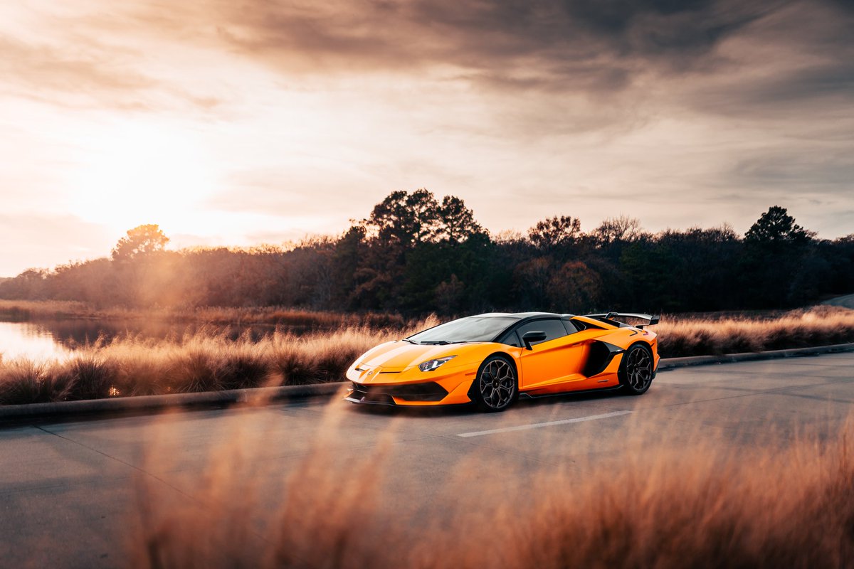 brittonshot's tweet photo. Orange bliss 🍊 https://t.co/IDnrhcdZn4