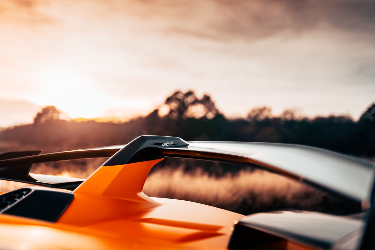 brittonshot's tweet photo. Orange bliss 🍊 https://t.co/IDnrhcdZn4