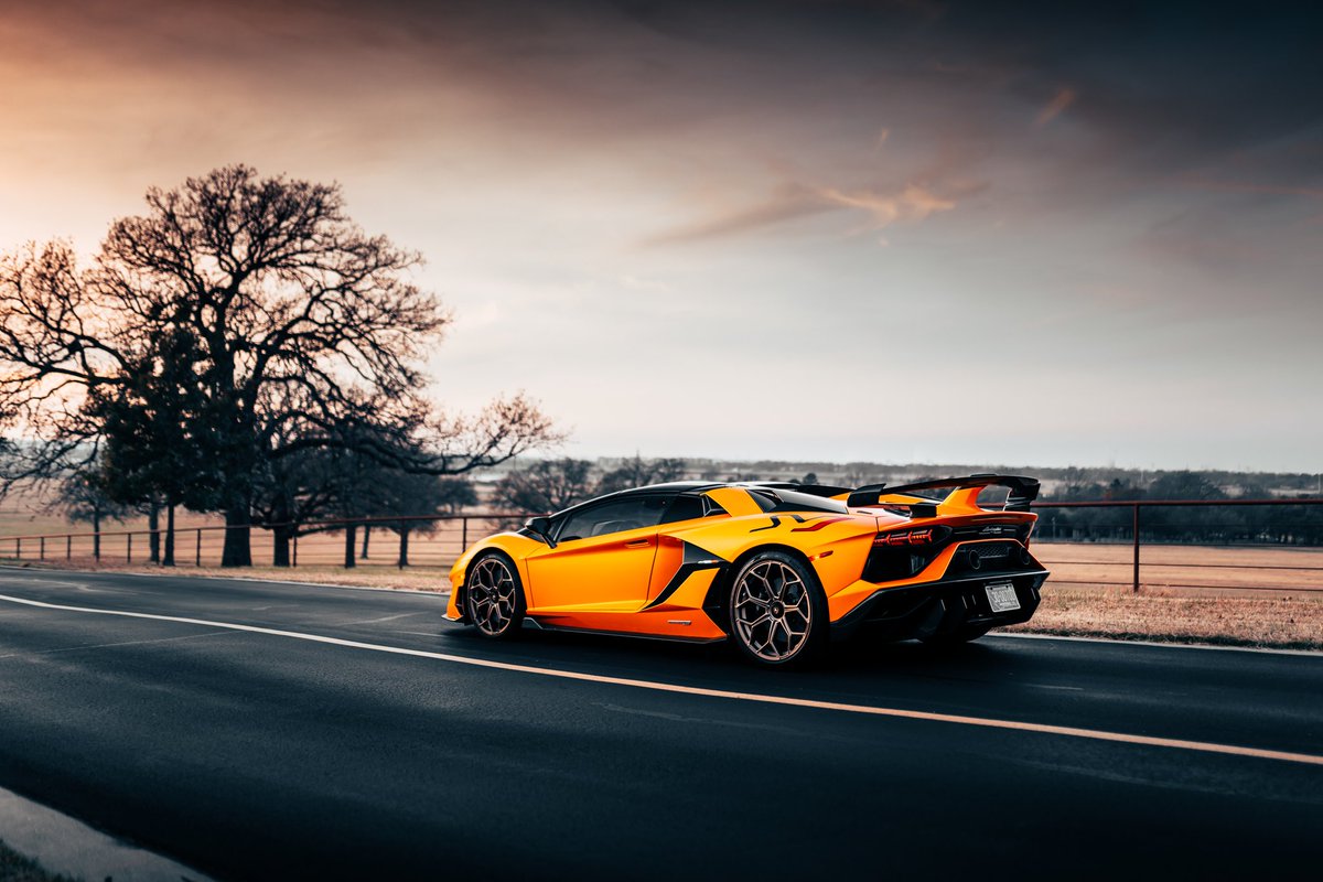 Orange bliss 🍊