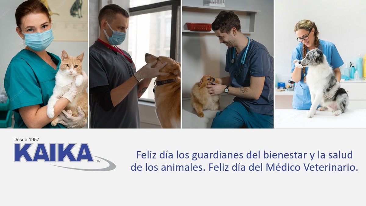 kaikalabo's tweet photo. Kaika les desea a todos los médicos veterinarios un feliz día. Por ser quienes velan por el bienestar de nuestros animales que en muchos casos, son parte de nuestra familia ¡Gracias por su gran labor! https://t.co/9CeKgkHY4u