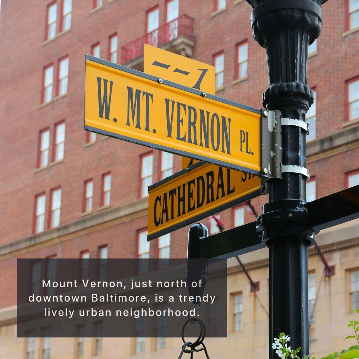 BaltimoRealEst1's tweet photo. #LetsExploreBaltimore
Mount Vernon is an elegant #neighborhood of #Baltimore. Considered the cultural &amp; historic district, it's a great place to take in #art, #history &amp; #architecture, while enjoying its trendy restaurants &amp; vibrant nightlife.

#mountvernon #CityOfOpportunity https://t.co/Gn6RlrSipX