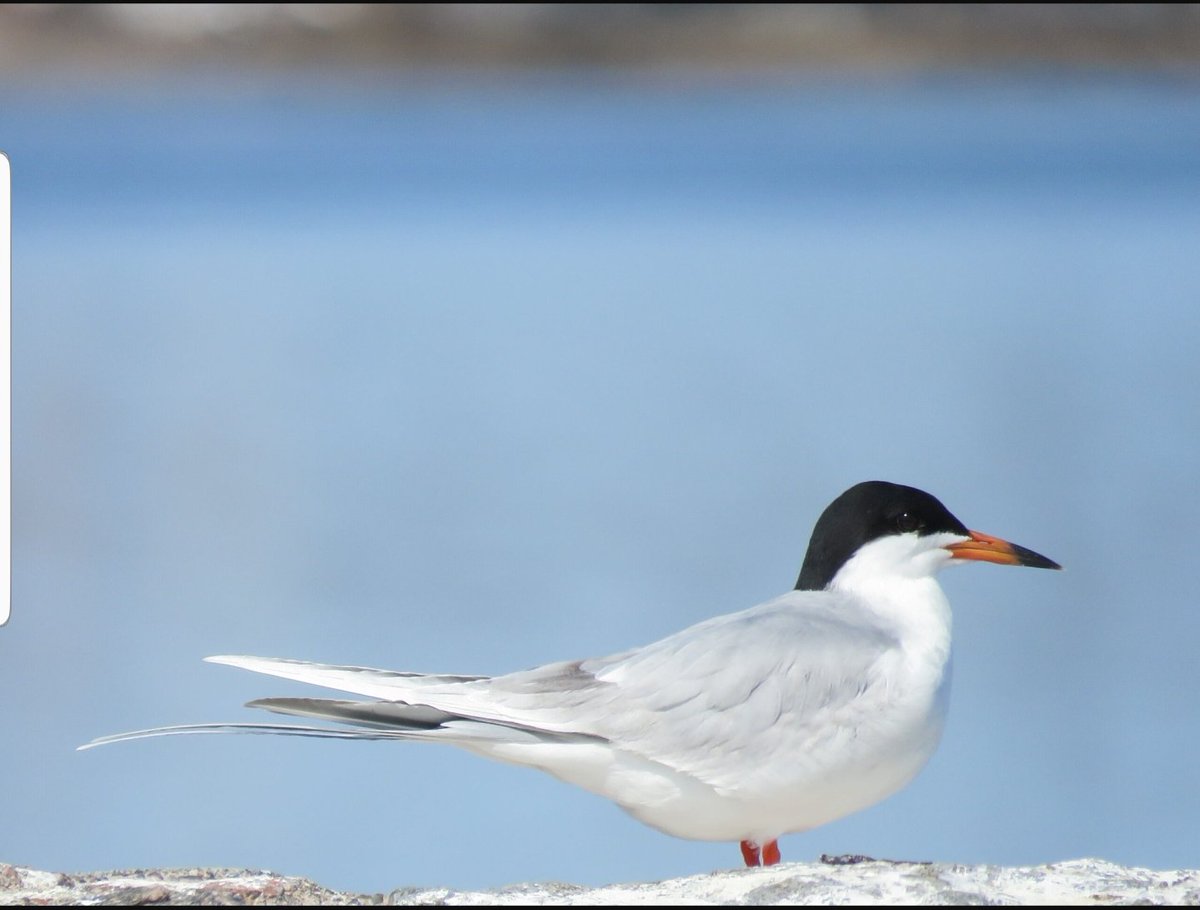 Visit Brainerd tweet media