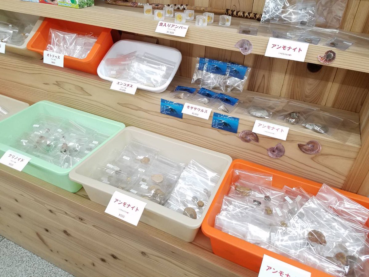 アンモナイト出品 ♡ 楽天市場】MINAMO 正規品 K18 天然石 ネックレス ペンダント