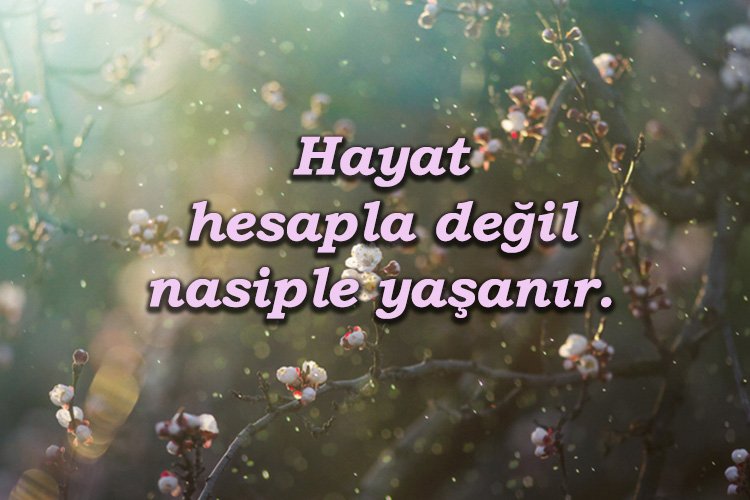 emel27_27's tweet photo. https://t.co/Re8opSDyAN
