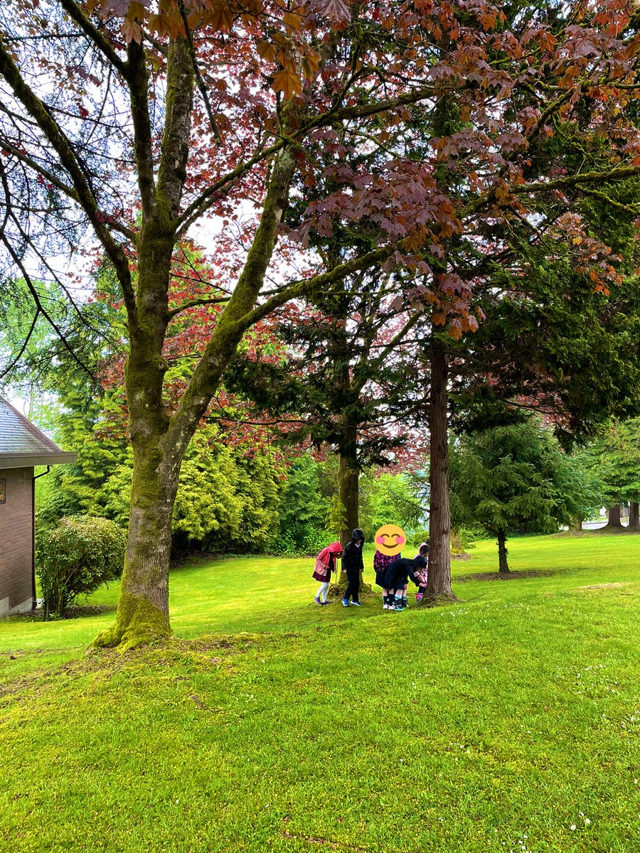 MsAlbertisClass's tweet image. Day 10 #walkingcurriculum challenge: a super rainy “zoom in” walk! - what details do you notice using a magnifying glass that you would not notice with just your eyes?