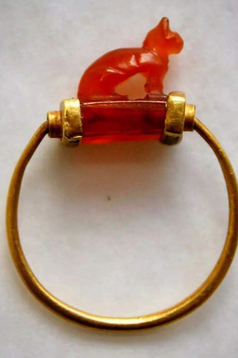 histories_arch's tweet photo. An ancient Egyptian gold ring with a carnelian bezel in form of a cat. From Third Intermediate Period (1070-712 BC) Dimensions: D. 2 cm (ring) L: 1 cm (bezel) it's now in the collection of the British Museum. 

© The Trustees of the British Museum

#archaeohistories https://t.co/V8K4Osa39N