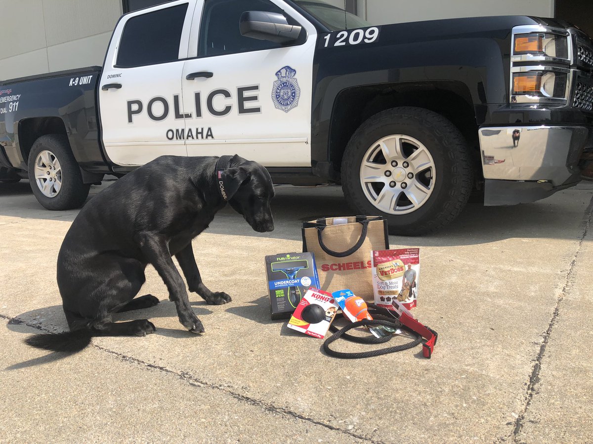 dominic_k9's tweet photo. Thanks to Cassy from Omaha @SCHEELS for delivering the gift bags for all of our K-9 Units!

It looks like play time 🐾
#opd
#supportblue
#supportk9 https://t.co/kr3VB3hSCF