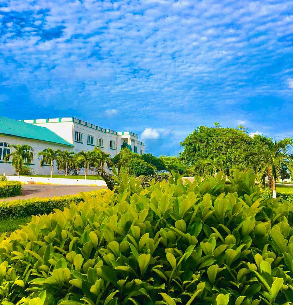 If you know, you know!

Inset: Administration block of St. Augustine's College.

#apsu #augusco #staugustinescollege #capecoast #ghana